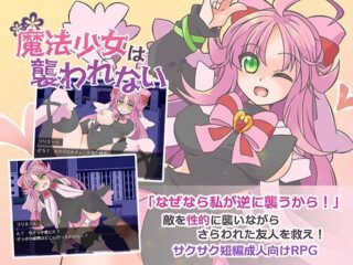 魔法少女は襲われない [RJ01026021]