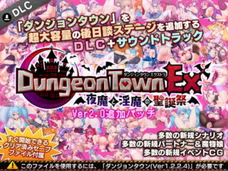 Dungeon Town EX ~The Holy Birthday of Succubi~ [RJ211260]