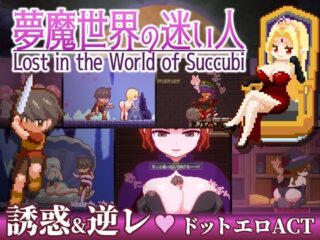 Lost in the World of Succubi [RJ01292340]